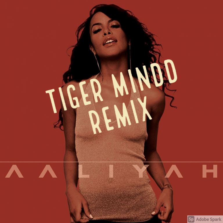 FREE DOWNLOAD — Aaliyah Rock The Boat (TIGER MINDD Remix